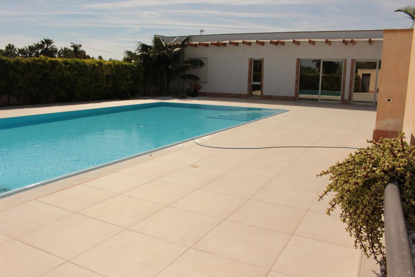 La piscina a sfioro lunga fino alla villetta, con la siepe e le palme di lato.