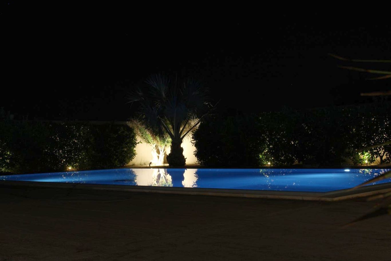 La piscina illuminata di notte, con le palme del giardino accese dai faretti.