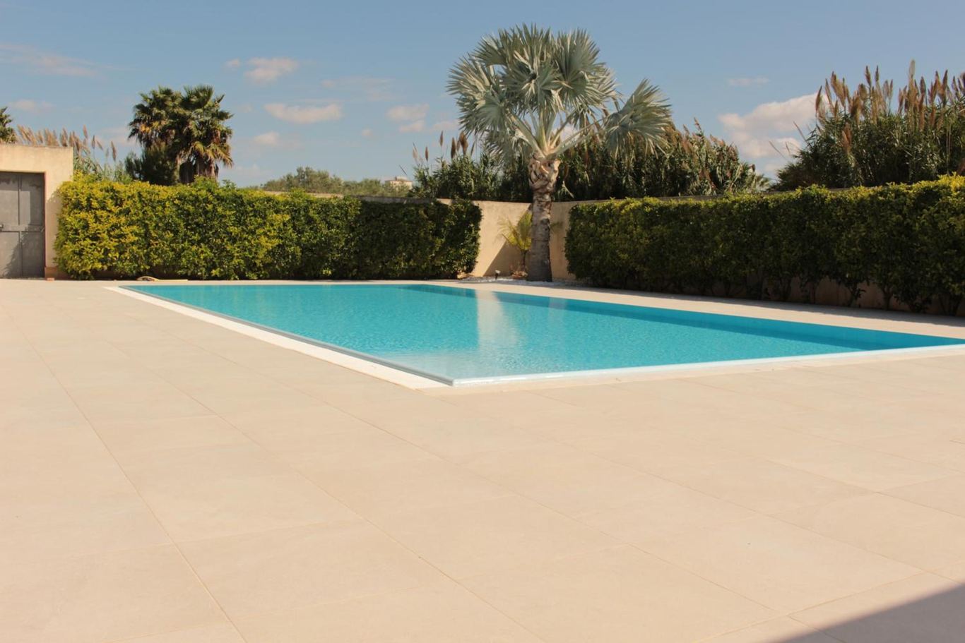 La piscina con la siepe alta, una palma e il cielo azzurro.