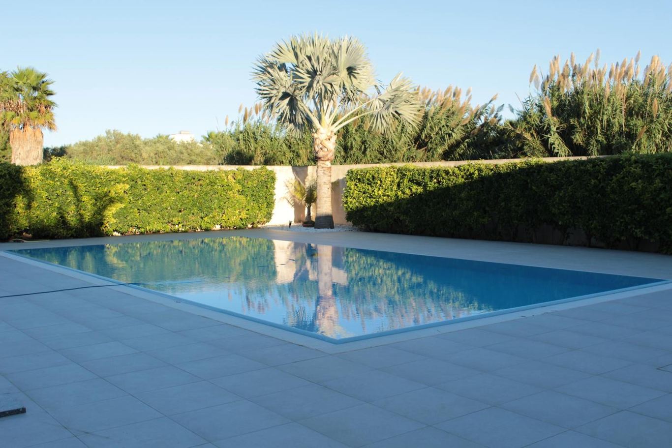 L'angolo della piscina con le palme e la siepe alta intorno al solarium.